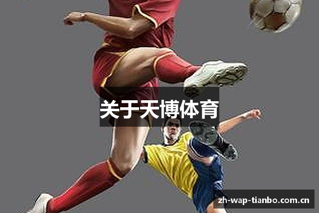 关于天博体育